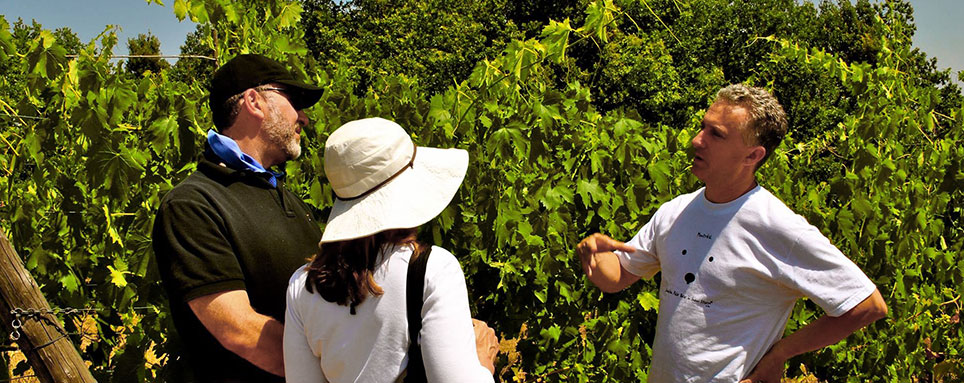 Terra di Seta Wine tour