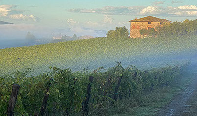 Agriturismo nel Chianti vicino Siena